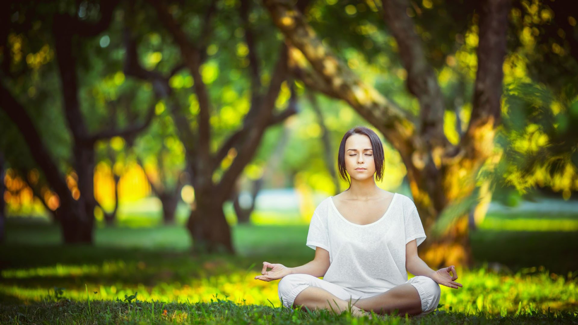 开云官网-舞台即天命，从火箭对阵勇士的宿命对决，看哈利伯顿为何在最高光下绽放